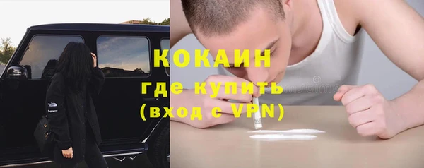 дмт Апатиты