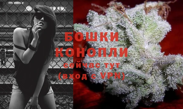трава Анива