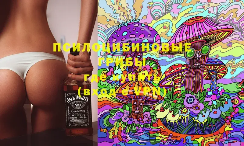 Псилоцибиновые грибы Cubensis  где можно купить   Богучар 