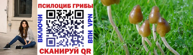 купить наркоту Богучар Псилоцибиновые грибы ЛСД